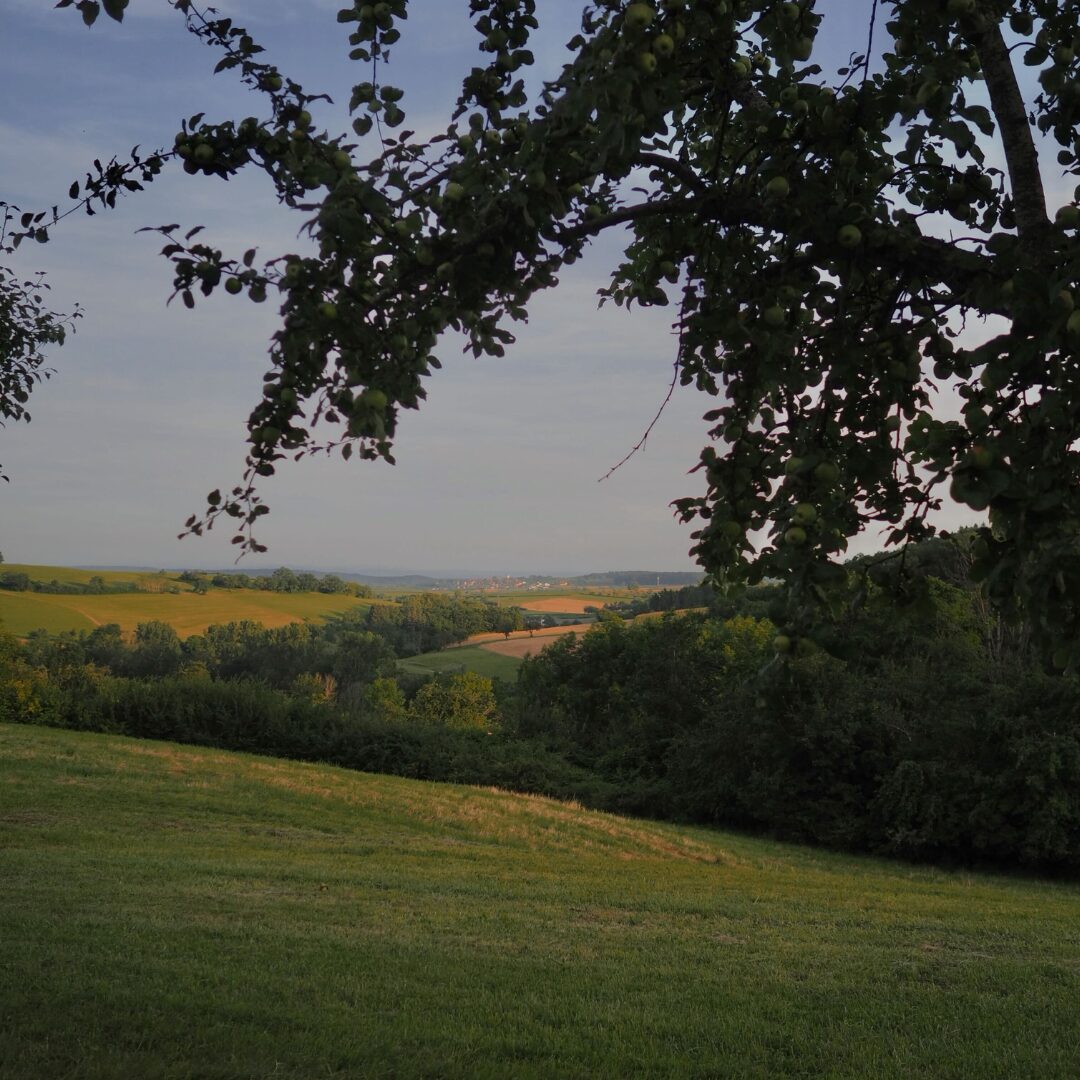 Apfelbäume Panoramaweg_Cynthia Weißflog Wannenberg