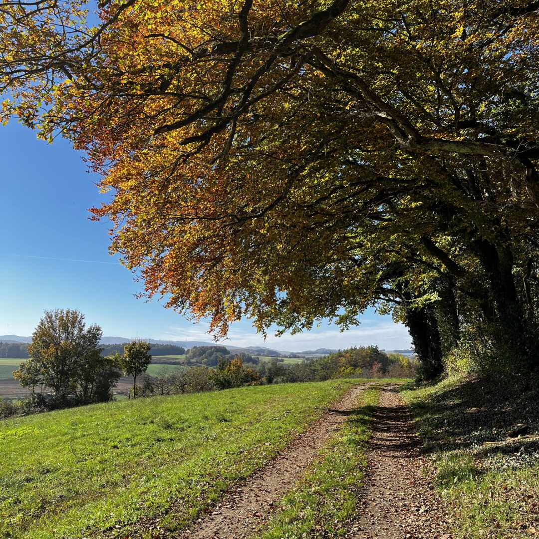 Panoramaweg im Herbst Wannenberg