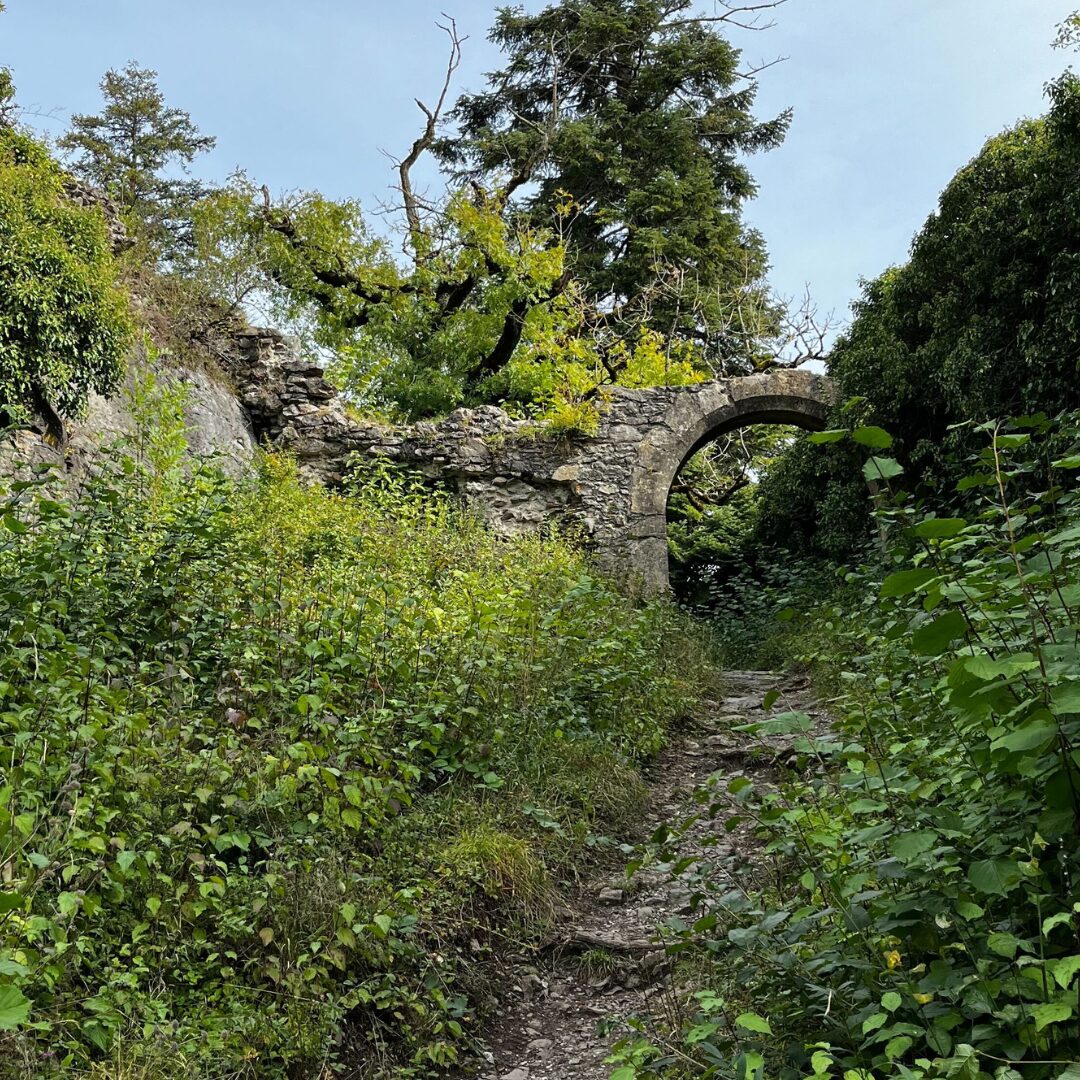 Verwunschene Burgruine auf dem Mägdeberg Wannenberg